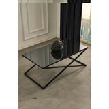 Mobievim Venedik Siyah Metal Füme Aynalı Orta Sehpa 110x60 cm