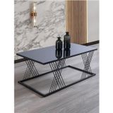 Mobievim Vienna Siyah Metal Ayaklı Füme Aynalı Orta Sehpa 110x60 cm