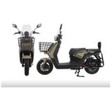 Mobilette Carry 10000 Elektrikli Moped Yeşil