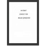 Mobilreyon 10 Adet A4 Kağıdı Ölçüsü Plastik Siyah Renk Belge Çerçevesi 21X30 cm Şeffaf Pvc'li Çerçeve