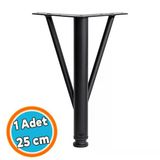 Mobilya Ayağı Modern Koltuk Kanepe Dayanıklı Tv Ünitesi Ayağı Ayakları Siyah Metal 25 Cm