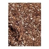 mobuflora 2 Litre Etobur Bitki Özel Toprak Torf Karışımı Sphagnum Peatmoss Mix