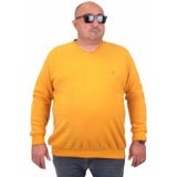 Moc Grande 23201 Hardal Selanik V Yaka Erkek Sweatshirt