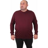 Moc Grande 23216 Mürdüm Sıfır Yaka Erkek Sweatshirt