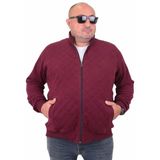 Moc Grande 23281 Diamond Mürdüm Erkek Hırka