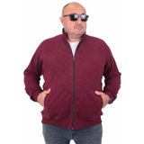 Moc Grande 23281 Diamond Mürdüm Erkek Hırka
