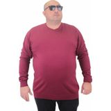 Moc Grande 23750 Bordo Basic Sıfır Yaka Triko Erkek Kazak