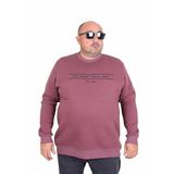 Moc Grande 24203 Eflatun Sıfır Yaka Erkek Sweatshirt
