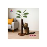 Mocha - Petody Doğal Ahşap Kedi Tırmalama Ağacı
