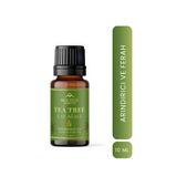 MOCOCO COSMETICS Çay Ağacı (Tea Tree) Esansiyel Yağı 10 ml – Doğal Uçucu Yağ | Aromaterapi, Difüzör, Buhurdanlık
