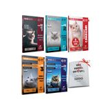 Modadil Yayınları YKS YDT YKSDil Modadil Soru Canavarı Yaprak Test + Deneme Seti (Kelime-Gramer-Skills) 5li Set