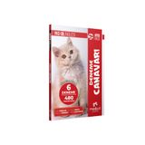 Modadil Yks Dil Ingilizce Intropack Deneme Canavarı 6 Deneme 9786057121189 Modadil Yayınları