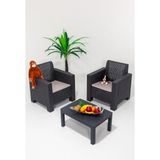 ModaLife Aksu 1+1+S Balkon&teras Bahçe Mobilyası / Antrasit - Renkli