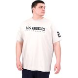 Mode XL U25031 Gri Baskılı Erkek T-shirt