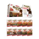 Model Eğitim Yayınları Model Çocuk – Gazi’nin Yolu (10 Kitap) 3.Sınıf, +8 Yaş / 4.Sınıf, +9 Yaş