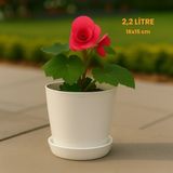 Modern Begonya Saksı 2,2 Litre Tabaklı Çiçek Saksısı – Iç ve Dış Mekana Uygun 16X15 cm - Beyaz