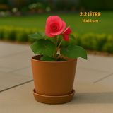 Modern Begonya Saksı 2,2 Litre Tabaklı Çiçek Saksısı – Iç ve Dış Mekana Uygun 16X15 cm - Kahve