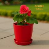 Modern Begonya Saksı 2,2 Litre Tabaklı Çiçek Saksısı – Iç ve Dış Mekana Uygun 16X15 cm - Kırmızı