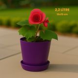 Modern Begonya Saksı 2,2 Litre Tabaklı Çiçek Saksısı – Iç ve Dış Mekana Uygun 16X15 cm - Mor
