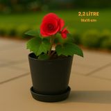 Modern Begonya Saksı 2,2 Litre Tabaklı Çiçek Saksısı – Iç ve Dış Mekana Uygun 16X15 cm - Siyah