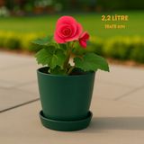 Modern Begonya Saksı 2,2 Litre Tabaklı Çiçek Saksısı – Iç ve Dış Mekana Uygun 16X15 cm - Yeşil