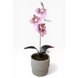 Modern Beyaz Saksıda 35 Cm Yapay Orkide Islak Dokulu