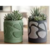 Modern Dokulu Sukulent Saksısı | Minimalist Dekoratif Çiçeklik