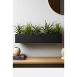 Modern Duvar Tipi Uzun Saksı – Mat Siyah 24.5cmx 6.5cm