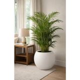 Modern Iç ve Dış Mekan 40X30 cm Beyaz Plastik Dekoratif Yuvarlak Saksı - Çok Renkli