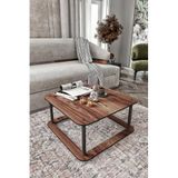 Modern Kare Orta Sehpa 2 Katlı Tasarım Salon Oturma Odası İçin Dekoratif ve Kullanışlı Ahşap Orta Masa Kitap ve Aksesuar Raflı (Ceviz)