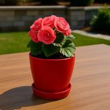 Modern Küçük Begonya Saksı 1,5 Litre Tabaklı Çiçek Saksısı – Iç ve Dış Mekana Uygun 14X13 cm - Kırmızı
