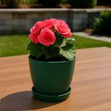 Modern Küçük Begonya Saksı 1,5 Litre Tabaklı Çiçek Saksısı – Iç ve Dış Mekana Uygun 14X13 cm - Yeşil