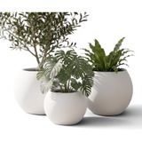 Modern Küre Saksı 3'lü Set - Su Sızdırmaz Dekoratif Salon ve Balkon Saksısı Hediyelik Çiçeklik Seti (İki Büyük Bir Orta)