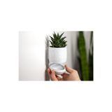Modern Tarz Duvar Askılı Mermer Desen Plastik Saksı 10 Cm (KÜÇÜK BOY), THEPLASTI0110