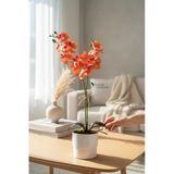 Modern Tasarım Beyaz Renkli Saksıda 2 Dallı Yapay Islak Orkide 50 Cm Vitrin