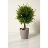 Modern Top Formlu Yapay Çam Bonsai, Taş Dolgulu Gri Saksıda Mini Ağaç, Çalışma Masası ve Raf Dekorasyonu