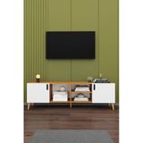 Modern Tv Ünitesi %100 Mdf Kapaklı Ahşap Ayaklı Televizyon Sehpası T-11