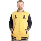 ModeXL Büyük Beden Erkek Kolej Mont Nakışlı Ceket 23632 Hardal