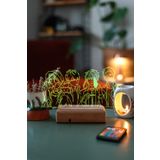 Modiwa Design Given 16 Renk Gece Lambası