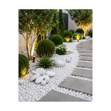 Moemi Beyaz Dolomit Taşı 10 Kg 2-4 CM | Saksı Üstü Dekoratif Çakıl Taşı | Teraryum Bahçe Peyzaj ve Akvaryum Taş