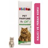 MOJO Love Kedi Parfümü Avangarde