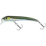 Molix Audace 55S 2.5Gr Latterino
