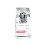 Molly Büyük Irk Derma Care Hipoalerjenik Somonlu 2 kg Yetişkin Köpek Maması