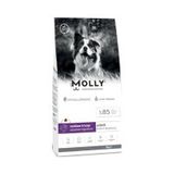 Molly Büyük Irk Hipoalerjenik Kuzu Etli ve Yaban Mersinli Düşük Tahıllı 15 kg Yetişkin Köpek Maması