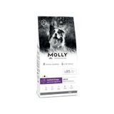 Molly Büyük Irk Hipoalerjenik Kuzu Etli ve Yaban Mersinli Düşük Tahıllı 2 kg Yetişkin Köpek Maması