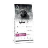 Molly Hipoalerjenik Düşük Tahıllı Kuzu Etli ve Yaban Mersinli Orta ve Büyük Irk Yavru Köpek Maması 15 Kg