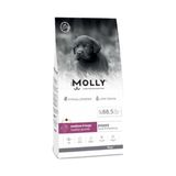 Molly Hipoalerjenik Düşük Tahıllı Kuzulu Yaban Mersinli Orta Ve Büyük Irk Yavru Köpek Maması 15 Kg
