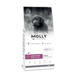Molly Hipoalerjenik Kuzu Etli ve Yaban Mersinli Büyük Irk Düşük Tahıllı 2 kg Yavru Köpek Maması