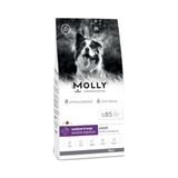 Molly Hipoalerjenik Kuzulu Yaban Mersinli Orta ve Büyük Irk Yetişkin Köpek Maması 15 Kg