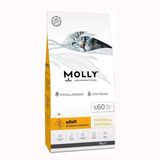 Molly Hypoallergenic Hairball Düşük Tahıllı 15 kg Tavuklu ve Hamsili Yetişkin Kuru Kedi Maması